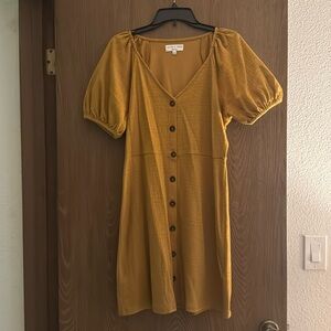 Madewell Dress
